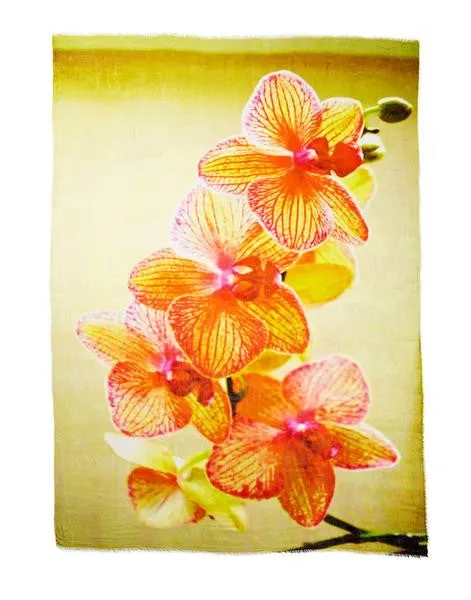 Orchid